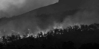 Hillside in darkness showing trees at the front with flames and fire behind trees with hills in the background